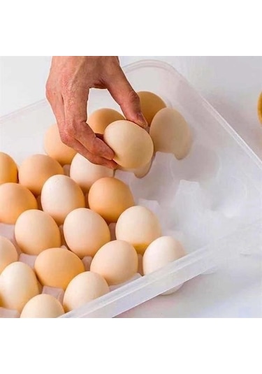 Buffer 30lu Yumurta Saklama Kabı -m11 Şeffaf