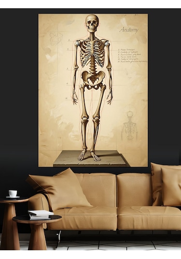 İnsan İskeleti Anatomik Çizim Dekoratif Kanvas - Mdf Ahşap Tablo