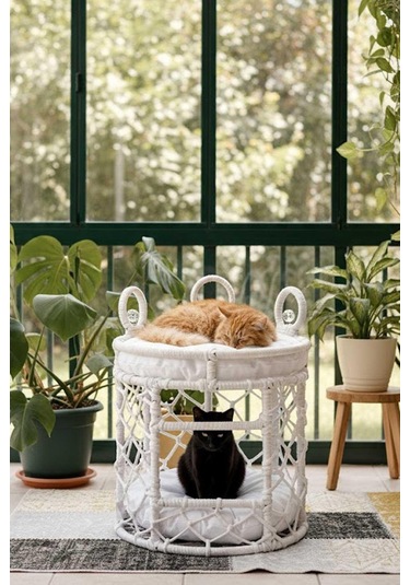 Reyo Lüxperi Kristal Taşlı İki Katlı Kedi Yatağı, Kedi Ranzası Beyaz