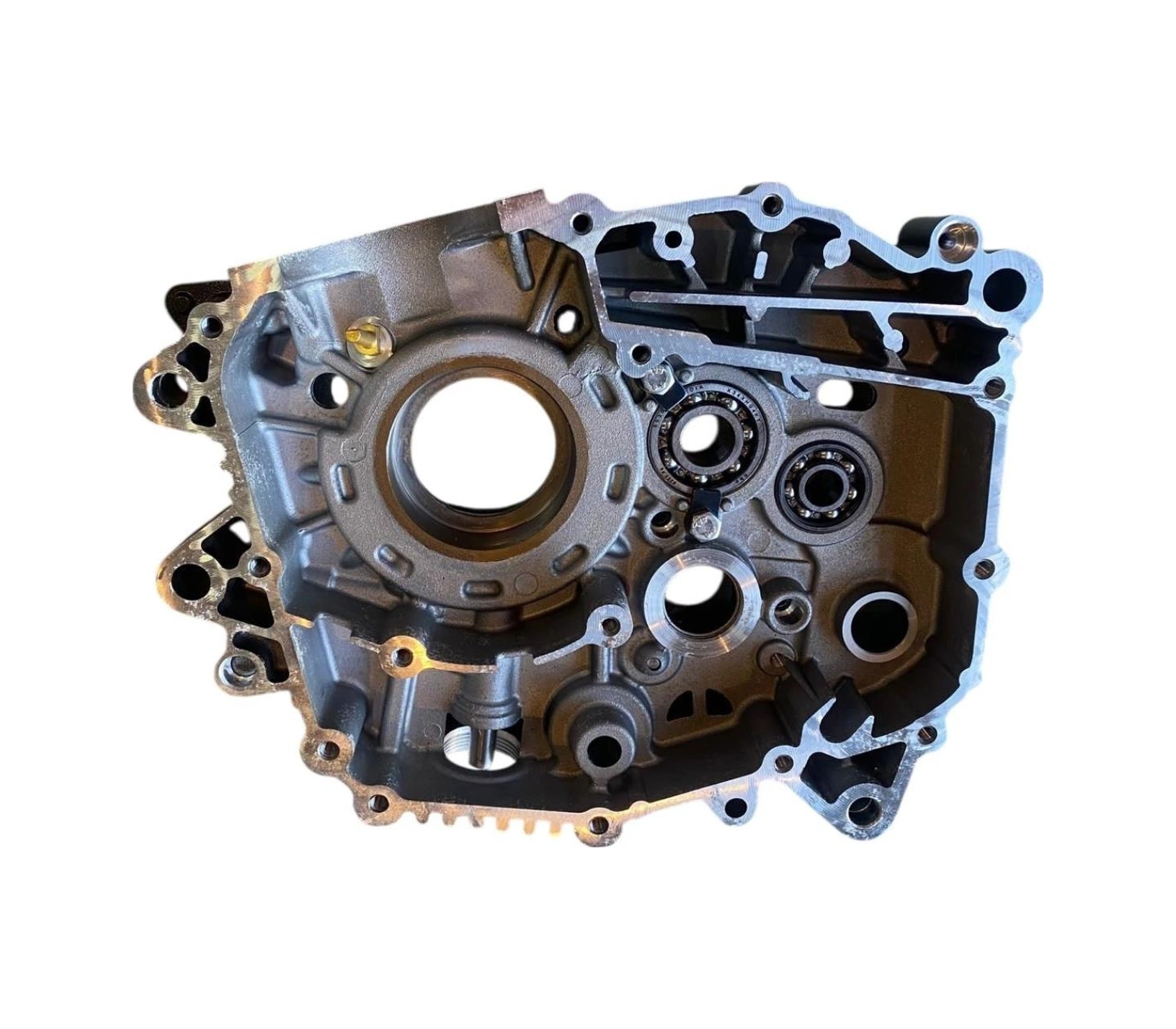 Tvs Raider 125 Sol Karter   --