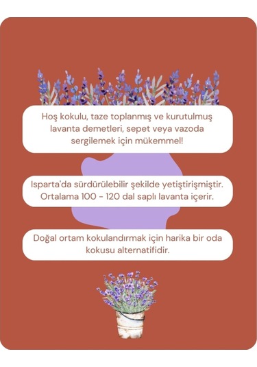 Pureal Kurutulmuş Doğal Lavanta Demeti