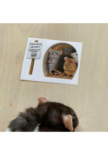 Komik Fare Deliği Duvar Çıkartmaları Yatak Odası Mutfak Süpürgelik Ev Dekorasyon 3d Vi Çıkartmaları Diy Duvar Sticker Dğ. 55013255 Diğer