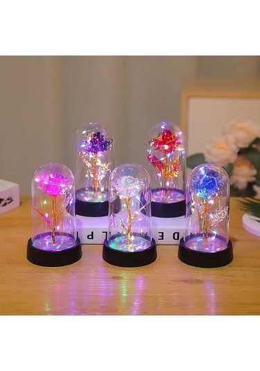 Dancemonkey Şeytan Gül Ve Led Işıklı Cam Kubbe Gece Lambası - Romantik Hediye Kırmızı Kırmızı