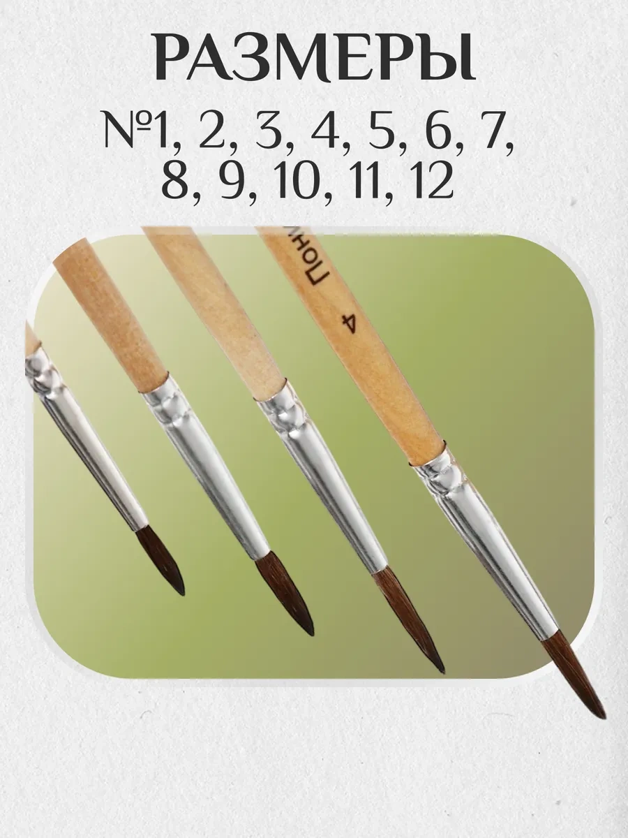 Calligrata Pony Fırça Seti 12 Ad 12714553