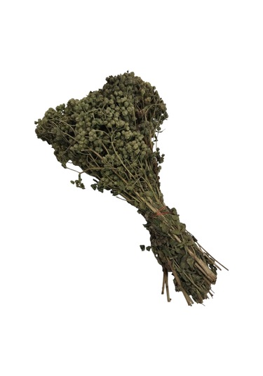 Doğal Dağ Kekiği Demet Bilya Demet Kekik