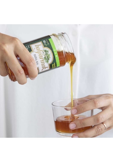 Balparmak Çam Balı 460 G