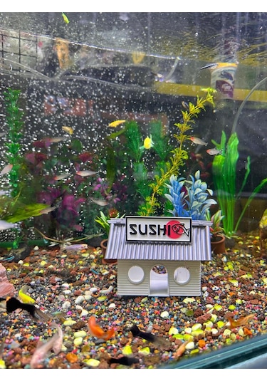 Sushi Evi-akvaryum Dekoru-gri Csıfhılvhsf, One Size