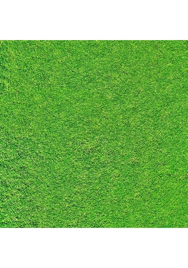 Açık Yeşil Mimari Maketler İçin Hazır Çim Kaplama, 33x41 Cm-33533