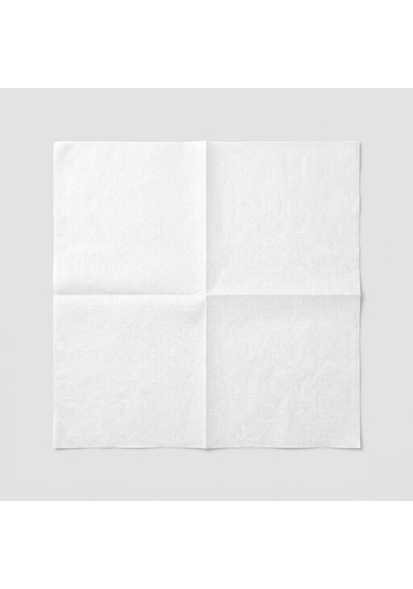 Tek Kullanımlık Evcil Hayvan Kurulama Havlusu 40x40 10 Adet