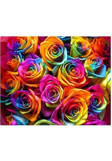 Hollanda'Dan İthal Yıldız Çiçeği Dehlia Çiçeği Tohumu 25 To