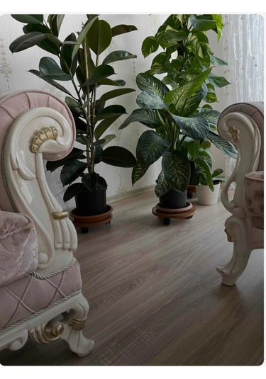 Doğal Çam Ahşap Saksı Altlığı Damacana Altlığı