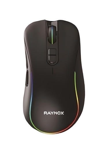 Raynox RX-GM900 RGB Optik Oyuncu Mouse