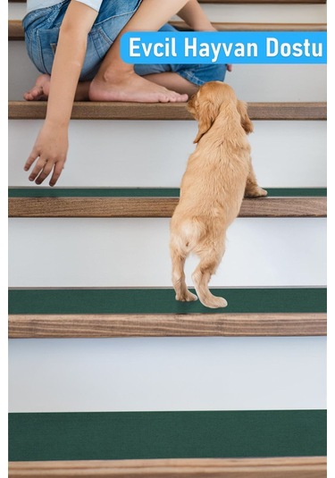 Halifleks Yapışkan Tabanlı Merdiven Basamak Paspası Rip Halı Kaymaz Tabanlı - Yeşil Null