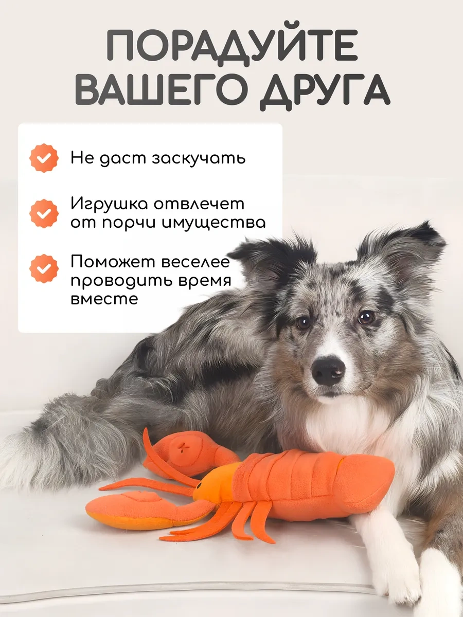 Pet's Boutique Köpekler İçin Yumuşak, Cıvıtmalı Koklama Oyuncağı 325366833