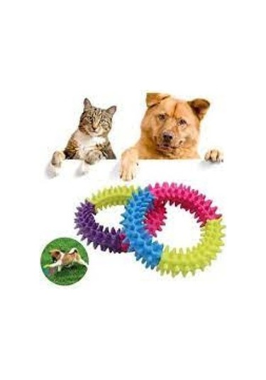 Köpek Isırma Diş Kaşıma Çemberi