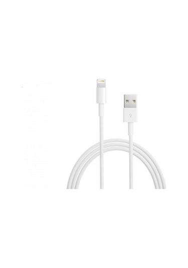 Apple MD818ZM/A Lightning USB Şarj Kablosu 1 M