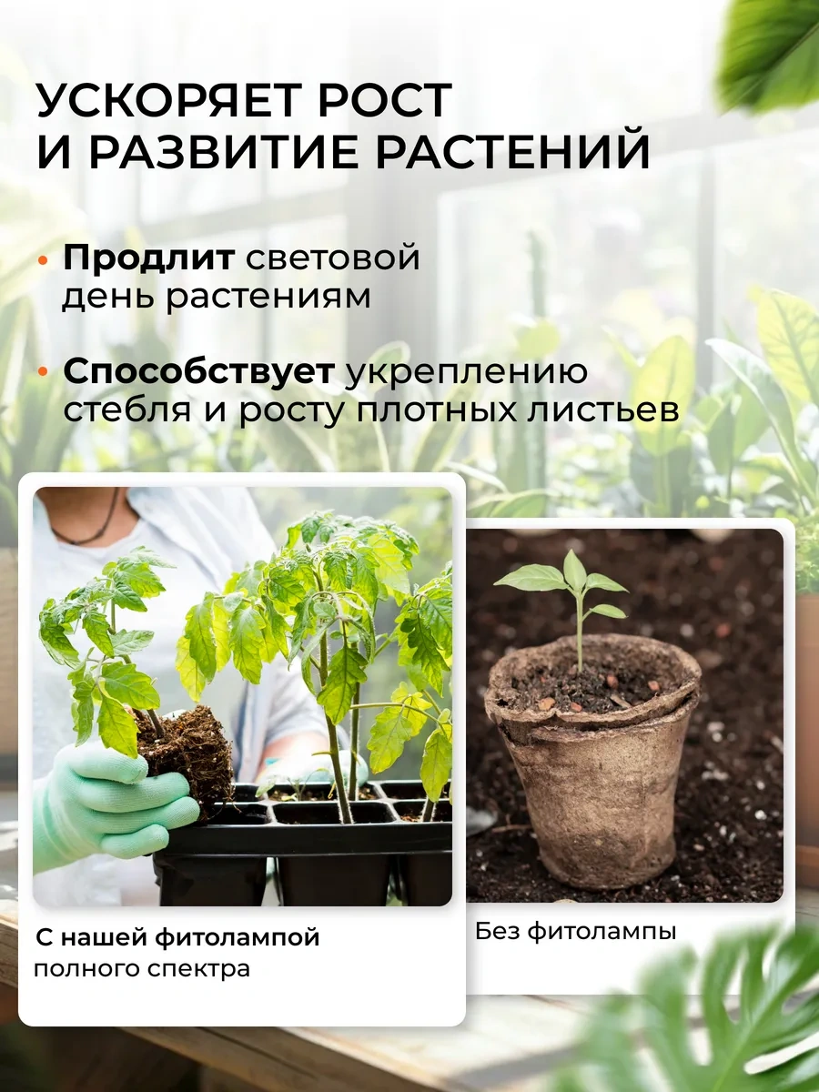 Bitkiler Ve Fideler İçin Tam Spektrumlu Fitolamba E27 144226219 Violet