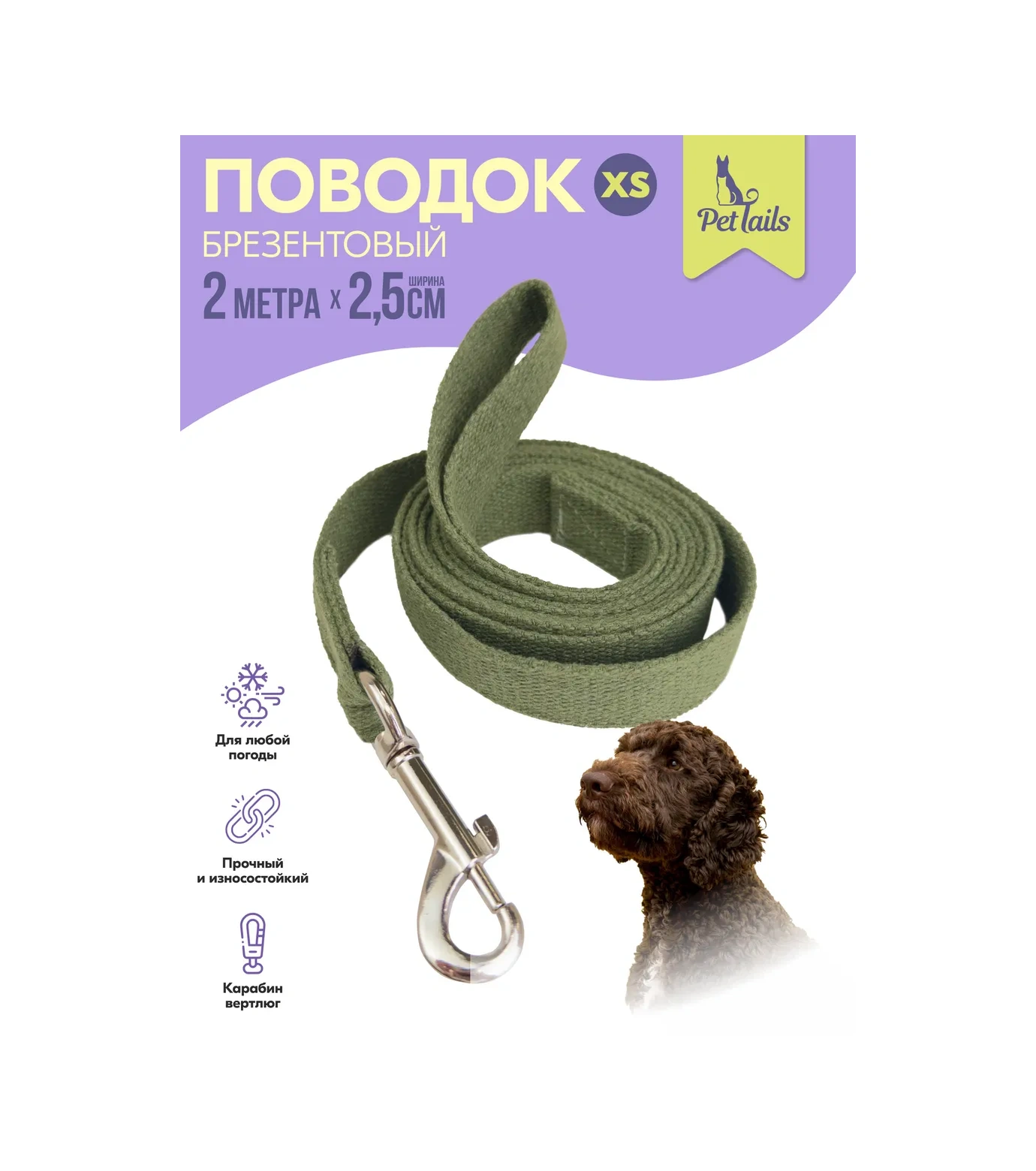 Pettails Köpekler İçin 2 Metre 25 Mm Kanvas Tasma 323061649 Gri