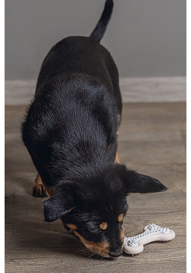 Beeztees Yavru Köpek Diş Oyuncağı, İçi Dolu Halka, Kauçuk, Pembe, 10cm