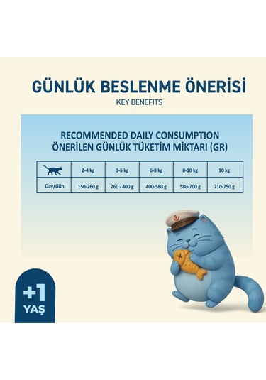 Somonlu Yaş Konserve Yetişkin Kedi Maması, Jöle İçinde Parça Etli, 400 Gr X 12 Adet