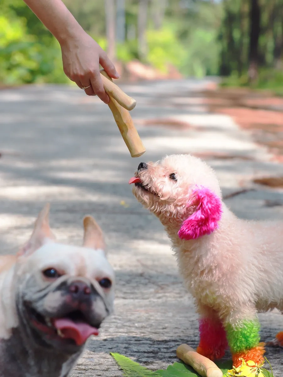 Coffee Wood Kafein Fabrikası Xs Arabica Bagırı 103621163