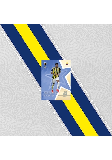 Fenerbahçe 2025-26 Sezon Kartları - Kutu