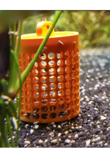 Pureysma Akvaryum Salyangoz Kapanı Küçük Salyangozlar İçin Yemlik