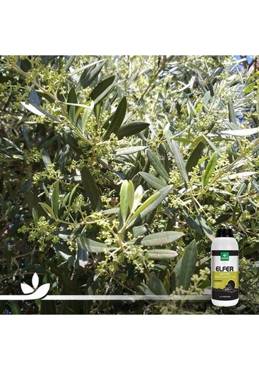 Elfer Zeytin | Zeytine Özel Mikro Bitki Besin Karişimi 1 Litre