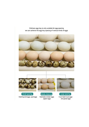 Suntek Ördek Kaz 9 Tüpler Için Yumurta İnkübatör Tepsi