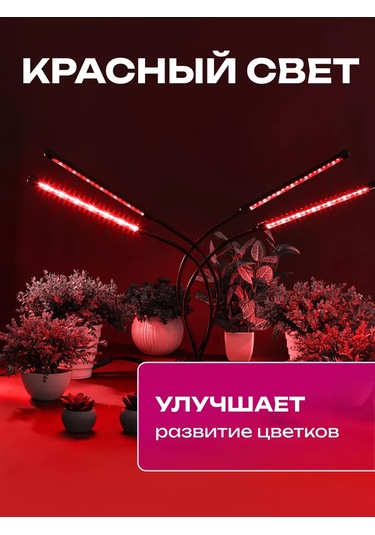 Miland Bitkiler Ve Fideler İçin Fitoluk 205302402 Violet