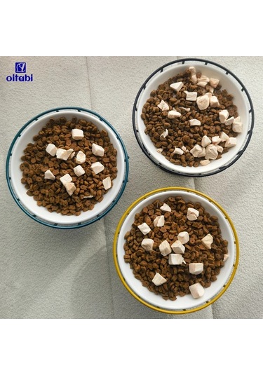 Willowhaven Yeşil Pençe Desenli Yükseltilmiş Seramik Kedi Kabı Metal Standlı