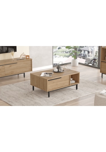 Robin Home Lidya Orta Sehpa Metal Ayaklı Kapaklı Sepet