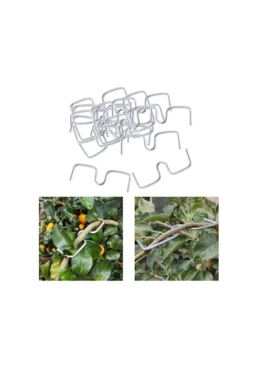 Suntek Meyve Ağacı Dalları 10 Cm Şekillendirme Için Uzun-10cm