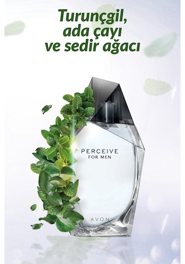 Avon Perceive Erkek Parfüm ve Full Speed Erkek Parfüm İkili Paket