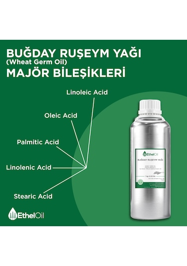 Etheloil Buğday Ruşeym Sabit Yağı 1 KG