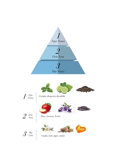 Prova Army 100 ML + Cool Blue Erkek Parfüm Seti EDP 120 ML