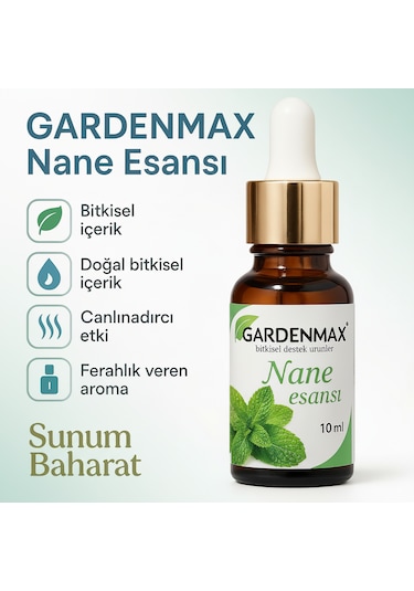 Buhurdanlık Esasnsı Nane Nane