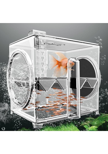 Suntek Balık Üremesi Izolasyon Kutusu Tankı Kuluçkahane