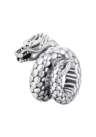 Fubena Görkemli Ejdarha Charm