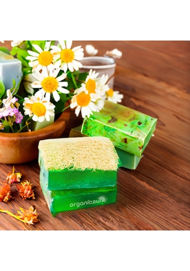Organicsun Doğal Kabak Lifli Çay Ağacı Sabunu 3 x 120 G