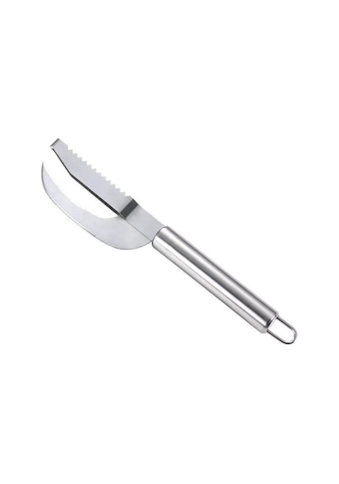 Hfambition Evde Balık Ve Kanatlı Hayvan İşlemleri İçin Çelik Bıçak: Ölçek Kırpan, Karın Açan Ve Bağırsak Temizleyici Çok Amaçlı Alet Diğer