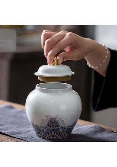 Pazly Seramik Emaye Çay Caddy, Büyük Çay Paketleme Kutusu, Mühürlü Şeker Kavanozu, Porselen Gıda Kabı, Model H Diğer