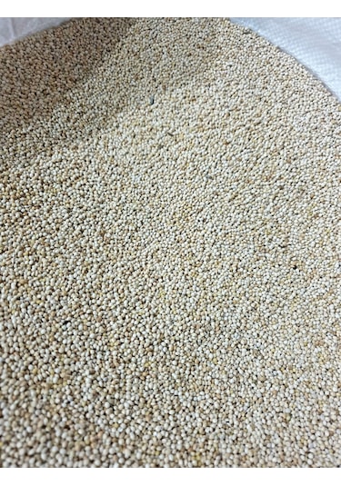Akderepet Ak Darı 1 KG