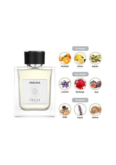 Thalia Timeless Varuna Erkek Parfüm EDP 100 ML