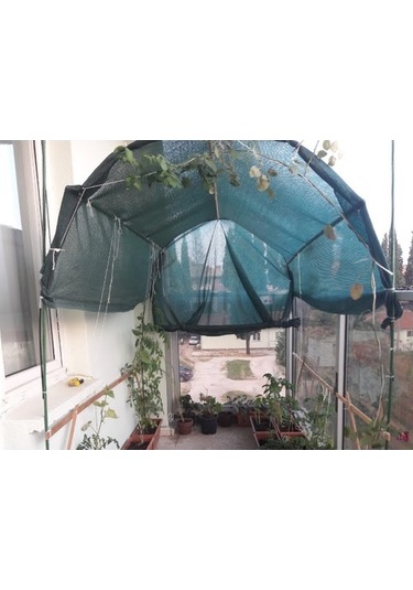 Morilu Kamp Gölgelik File - Yeşil Teras Filesi - 75'lik Şeritli Halkalı File Gölgelik - Havuz Gölgeliği