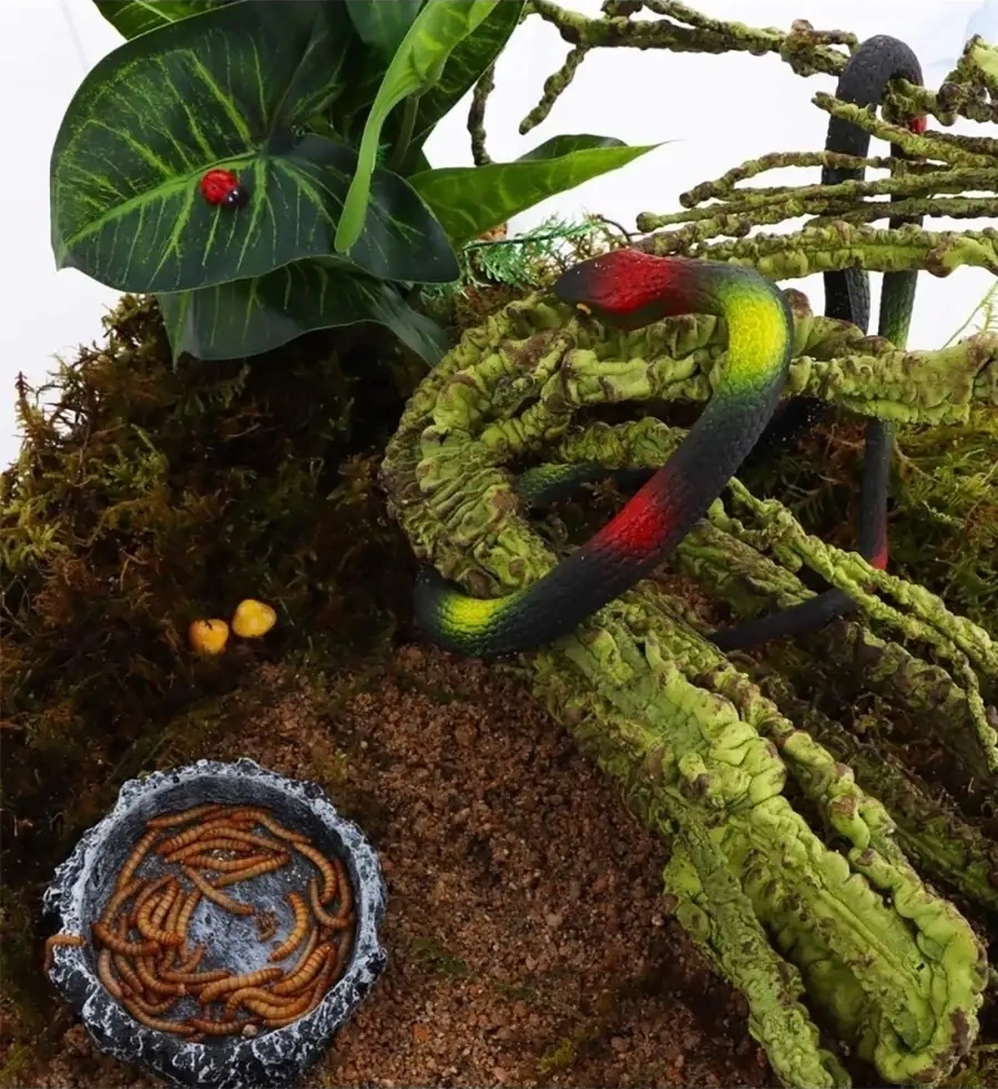 Petsroom Sürüngenler İçin Terraryum Kafesi Akvaryum Besleyici Abdesthiy Bulutma 23631176