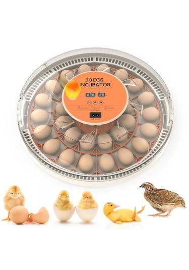 Altın Kuluçka-wonegg 30'lu Otomatik Kuluçka Makinesi