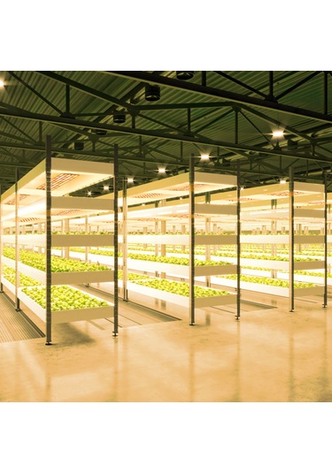 Geeroyoo "bitki Büyüme Led Panosu: 24 Saat Zamanlayıcı, 6 Parlaklık Seviyesi, İç Mekan Bitkileri İçin Tam Spektrum Işık" Diğer