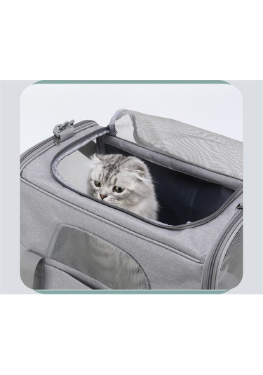 Kedi Çantası Katlanabilir Küçük Köpek Ve Kedi Gezi Çantası