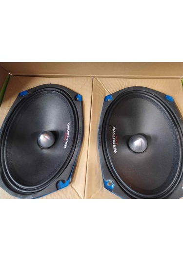 Yasal Standartlara Uygun Germistone Lt69/v3 Oval 6x9 Midrange Hoparlör 2 Adet